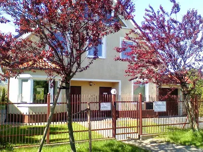 Marek Bajena, Indywidualna Specjalistyczna Praktyka Lekarska